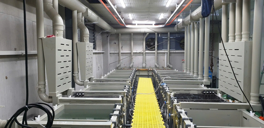 Thiết kế và lắp đặt dây chuyền 